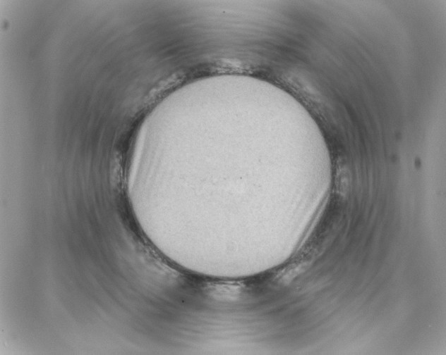 X0000087740318200706041043