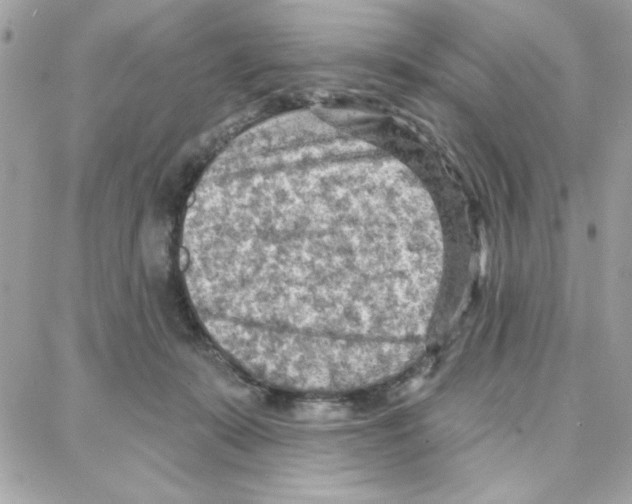 X0000087740319200706041043