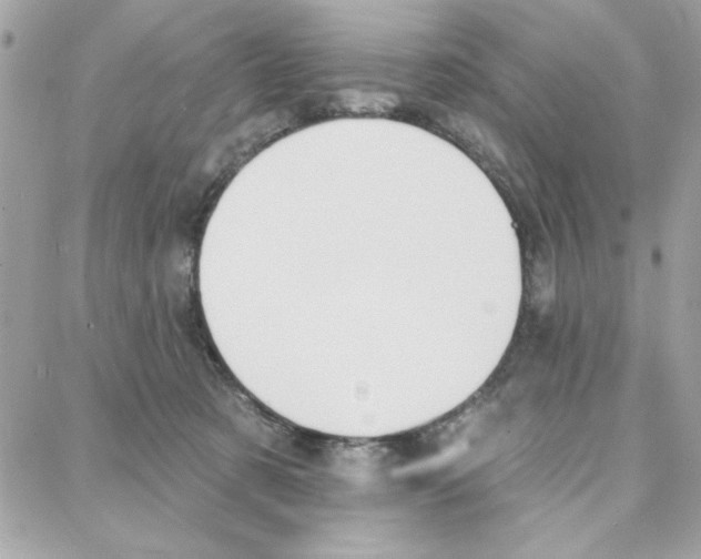 X0000087740321200706041043