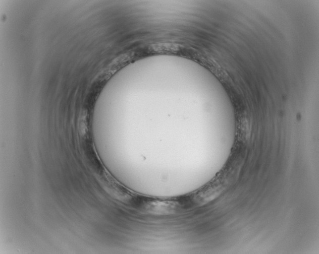 X0000087740323200706041043