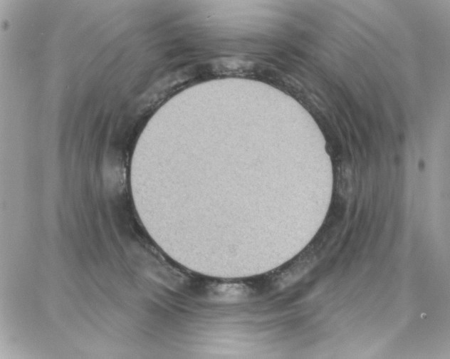 X0000087740324200706041043