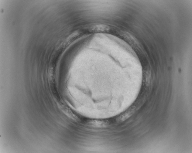 X0000087740326200706041043