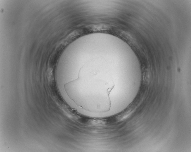 X0000087740327200706041043