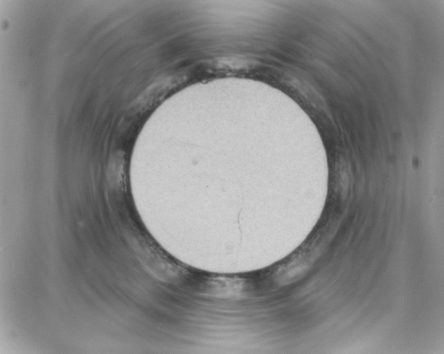 X0000087740328200706041043