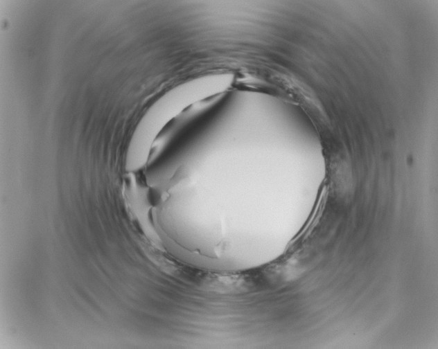 X0000087740329200706041043