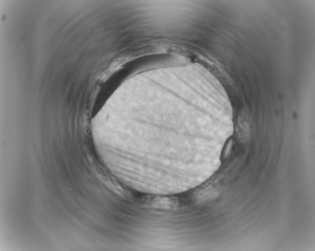 X0000087740330200706041043