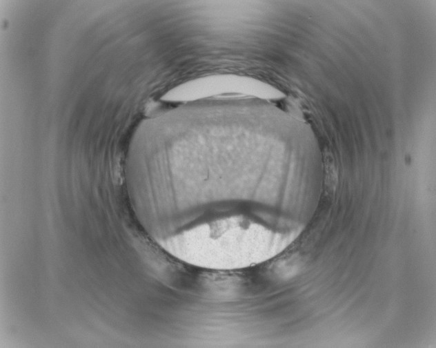 X0000087740331200706041043