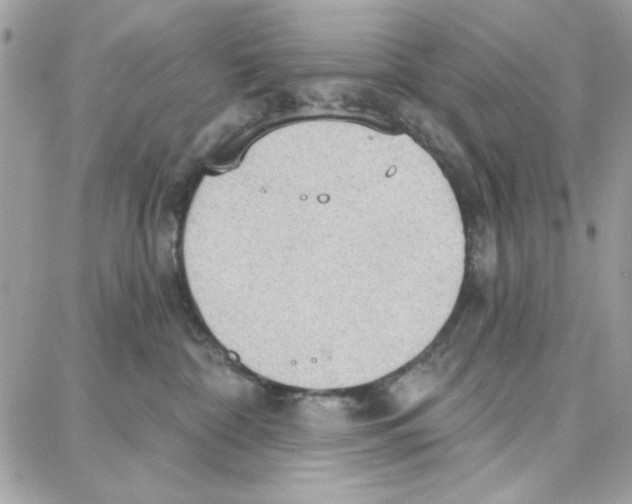 X0000087740332200706041043