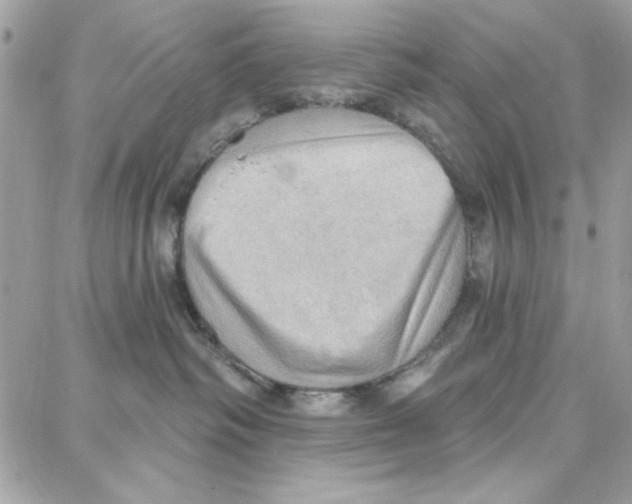 X0000087740334200706041043