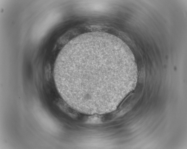 X0000087740335200706041043