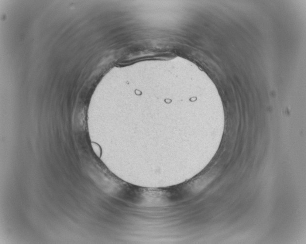 X0000087740336200706041043