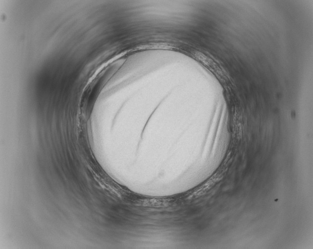 X0000087740338200706041042