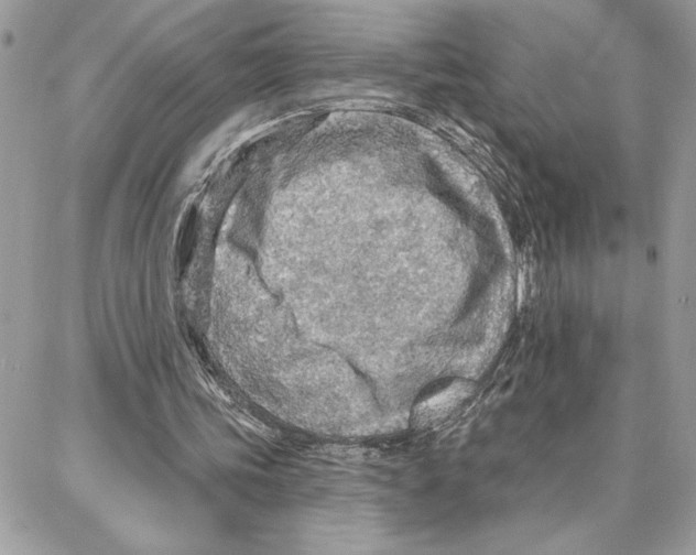 X0000087740339200706041042