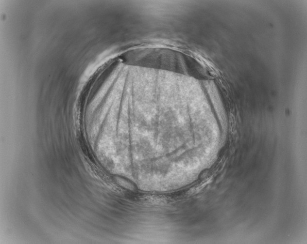 X0000087740343200706041042