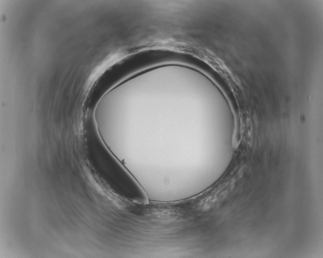 X0000087740344200706041042