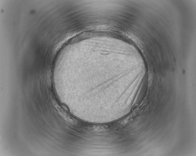 X0000087740345200706041042