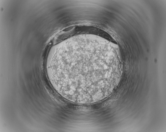 X0000087740347200706041042