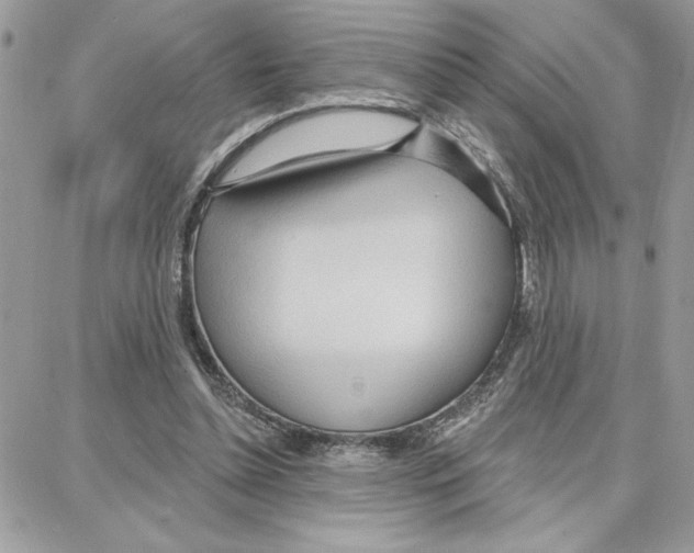 X0000087740348200706041042