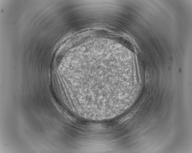 X0000087740349200706041042