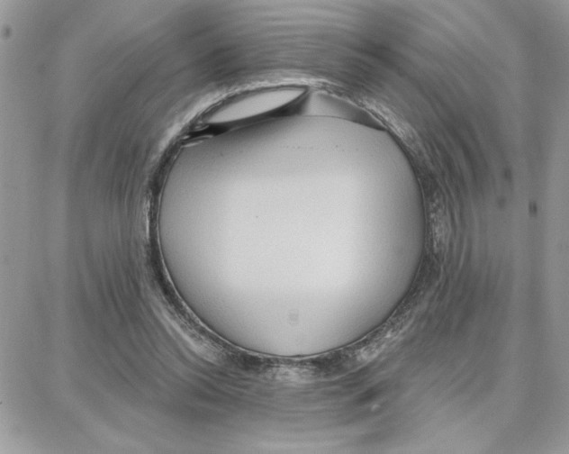 X0000087740350200706041042