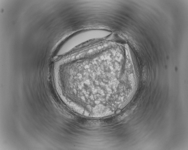 X0000087740351200706041042