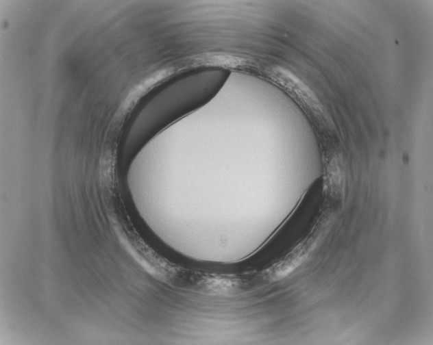 X0000087740352200706041042