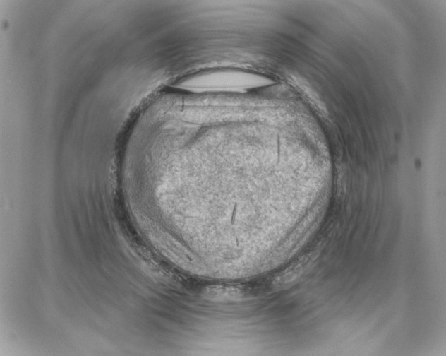 X0000087740354200706041042