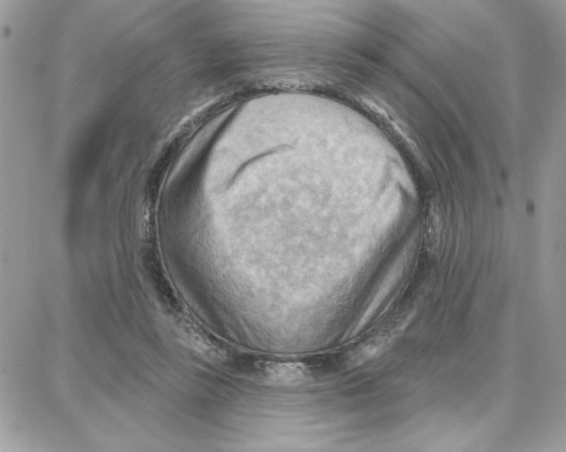 X0000087740355200706041042