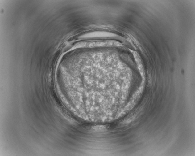 X0000087740357200706041042