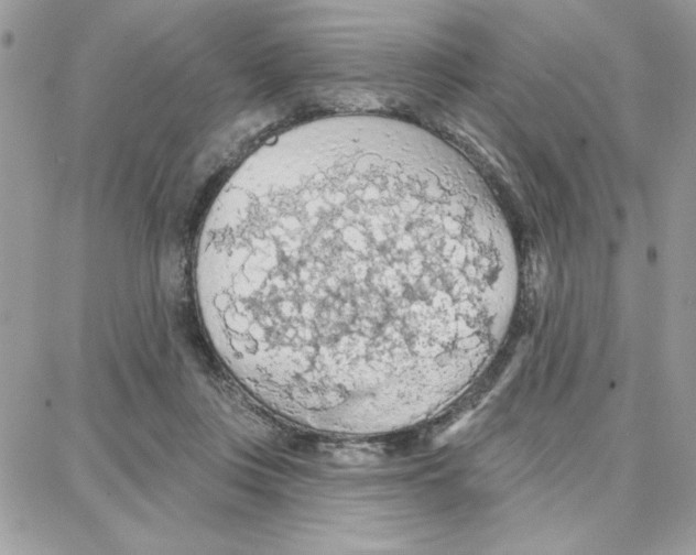 X0000087740359200706041042