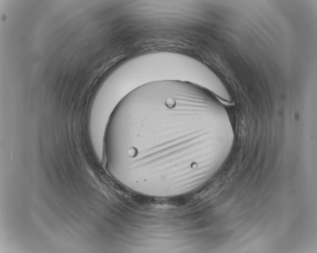 X0000087740360200706041042