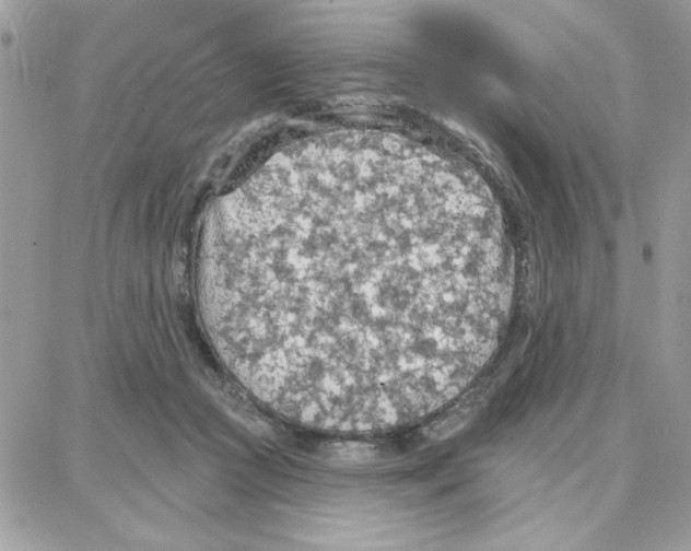 X0000087740361200706041042