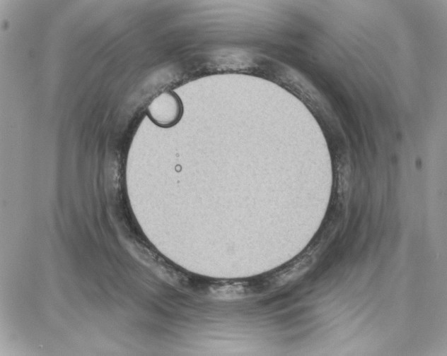 X0000087740362200706041042