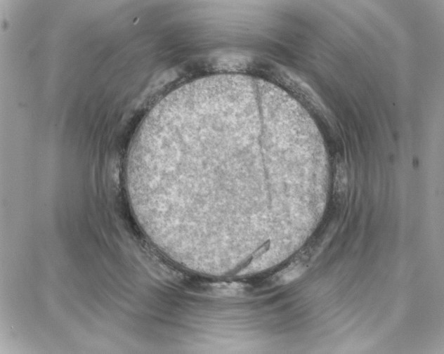 X0000087740363200706041042