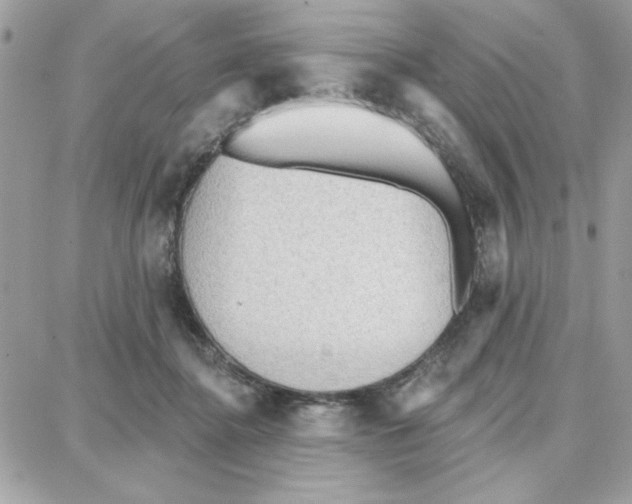 X0000087740364200706041042