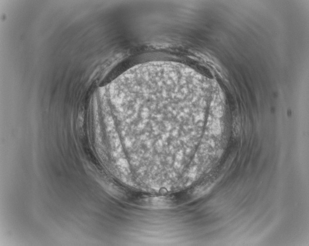 X0000087740365200706041042