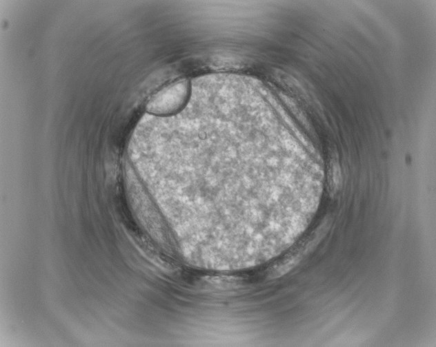 X0000087740367200706041042