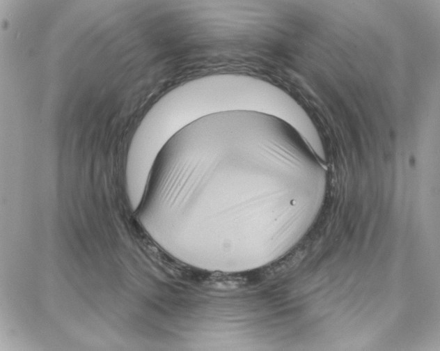 X0000087740368200706041042