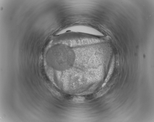 X0000087740369200706041042