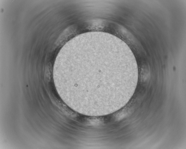 X0000087740370200706041042