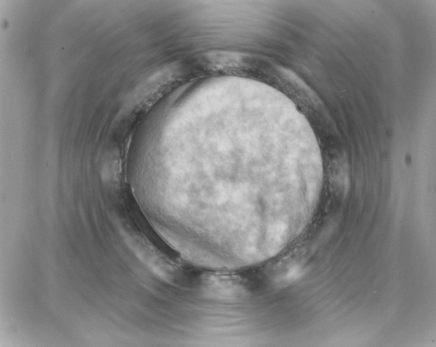 X0000087740372200706041043