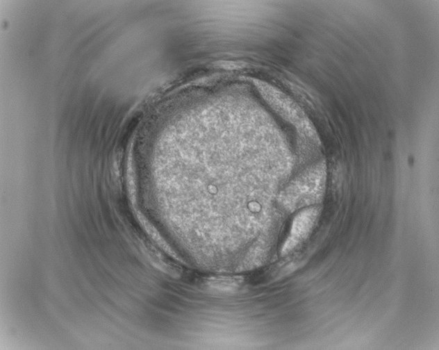 X0000087740373200706041043