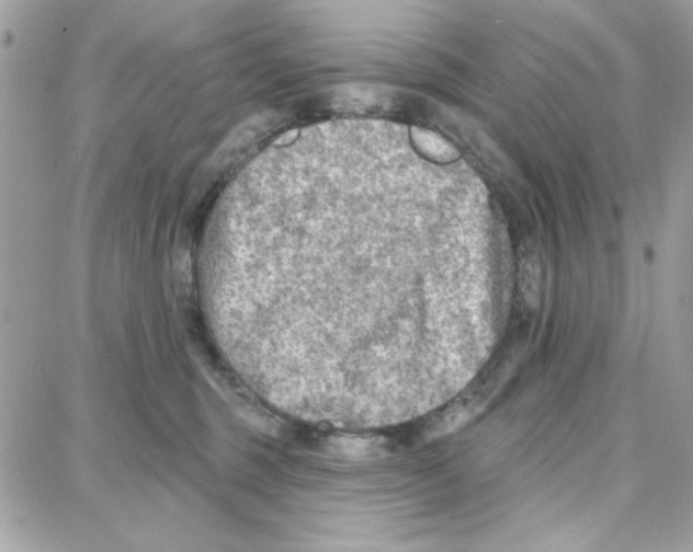 X0000087740375200706041043