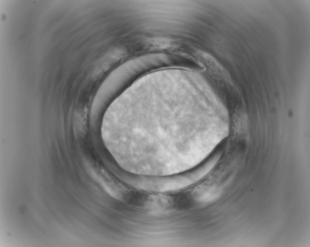 X0000087740376200706041043