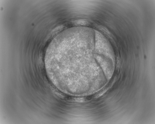 X0000087740377200706041043