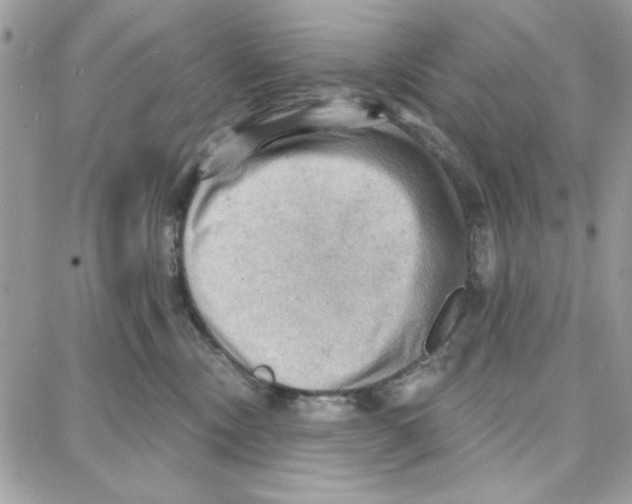 X0000087740378200706041043