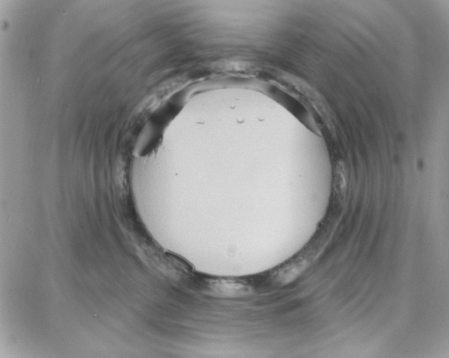 X0000087740380200706041043