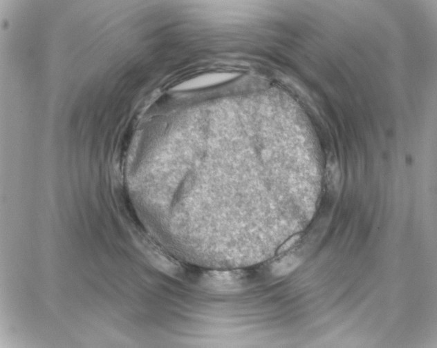 X0000087740381200706041043