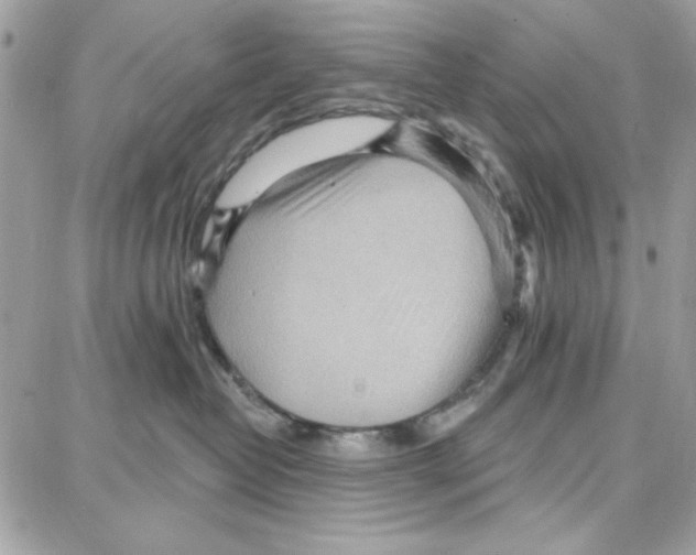 X0000087740382200706041043