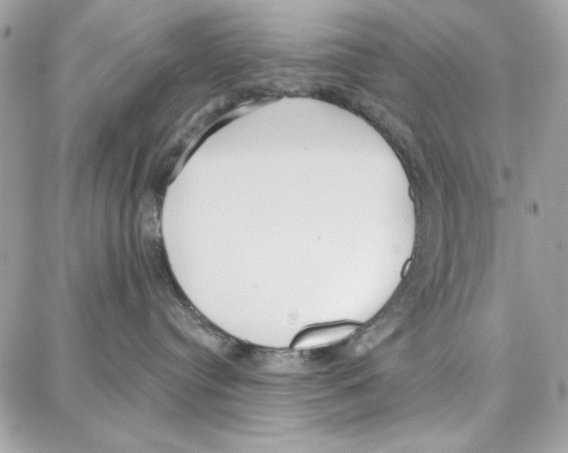 X0000087740384200706041043